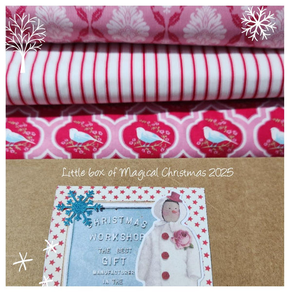 2025 Little Box of Magical Christmas