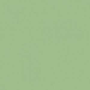 Tilda Solid Fern Green 120041